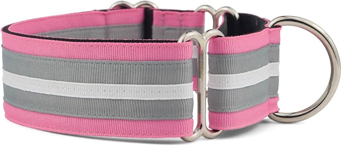 If It Barks - 1.5" Martingale Collar for Dogs - Adjustable - Nylon - Strong and Comfy - Ideal for Training - Made in USA - Small, Spunky