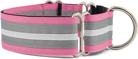 If It Barks - 1.5" Martingale Collar for Dogs - Adjustable - Nylon - Strong and Comfy - Ideal for Training - Made in USA - Small, Spunky