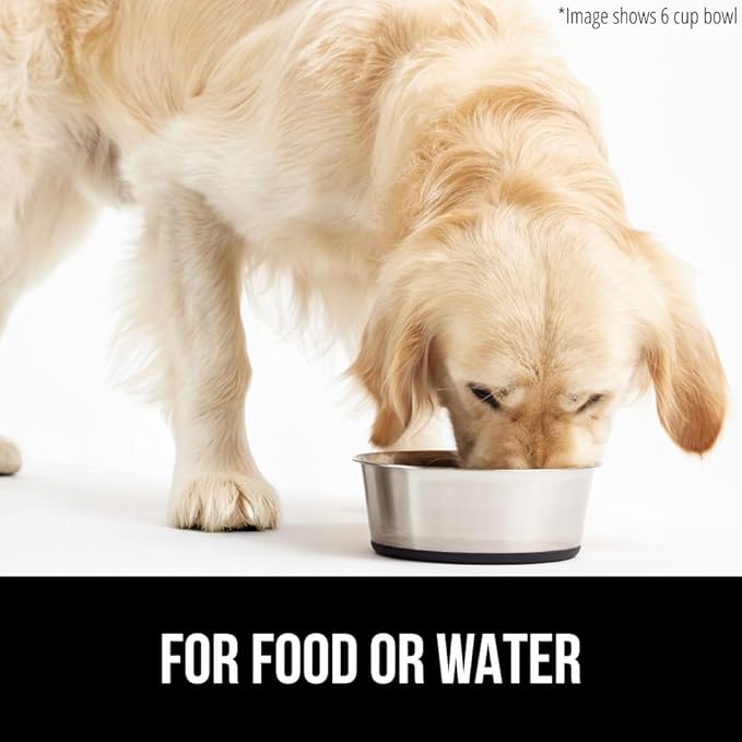 GORILLA GRIP Dog Bowl, Holds 2 Cups (16 fl oz), Food Grade 304 Stainless Steel Food and Water Bowl for Feeding Dogs and Cats, BPA Free Rubber Base, Easy Clean, Dishwasher Safe, Rust Resistant, Black