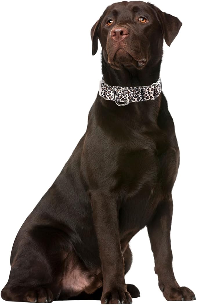 Leopard Print Martingale Collars for Dogs, No-Slip Escape Proof Choke No Pull Soft Nylon Training Dog Collars for Small Medium Large Breed Pet Dogs, M