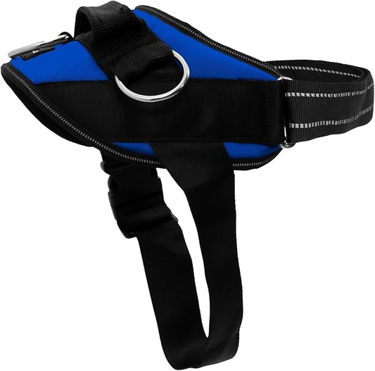 ShawnCo Essential Dog Harness, No-Pull Pet Vest with 3 Leash Clips, No Choke, Reflective, Adjustable and Padded, for Easy Walking and Training for Small, Medium and Large Dogs (Electric Blue,M)
