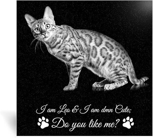 Pet Memorial Stones Personalized Dog Remembrance Gifts, Customized Cat Picture Grieving Plaque, DIY Gravestone, Custom Sympathy Photo Gift, Animal Grave Markers, Little Tombstones (12"x12"x0.4")