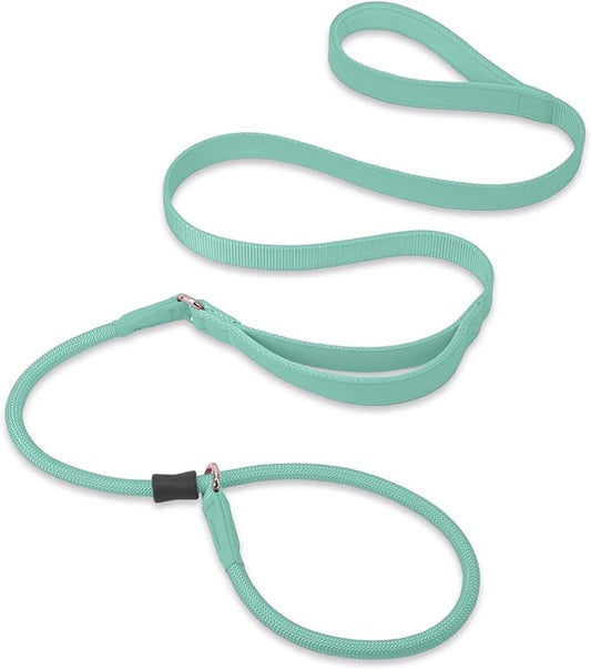 Slip Lead Dog Leash, Double Handle, Soft Leather, Heavy Duty Nylon, No Pull Walking, 5ft Mint Green