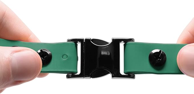 Educator 1-Inch Dog Training Collar Strap – ONLY Fits FE-580, ET-800 & UL-1200 Receivers – NOT Compatible with Mini Educator (ET-300/ET-400) – Quick Snap Biothane Bungee Collar, Green
