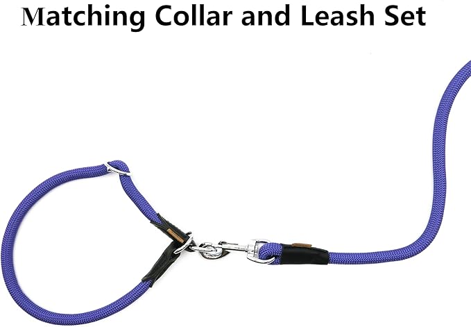 Dog Leash, Braided Rope Traction – Walking Training Lead for Small Dogs ((1/3") x 6FT, Purple)