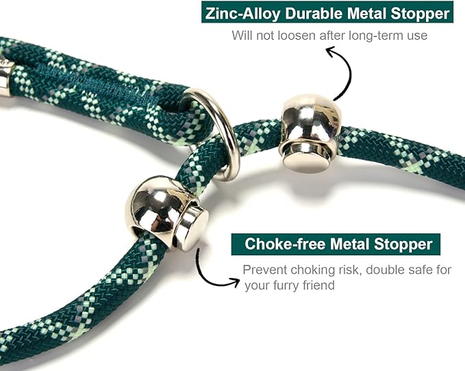 Slip Lead Dog Leash 5 Ft No Pull Reflective Nylon Dog Rope Training Leash with Padded Handle for Puppy Small Medium Dogs(Dark Green)