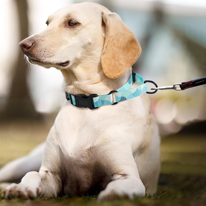 Martingale Dog Collars,Adjustable Soft Nylon Quick Release Buckle,No Pull Training Collar for Large Medium Small Dogs