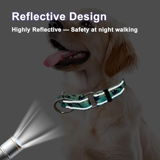 Reflective Martingale Collar for Dogs Nylon Training Collar with No Buckle, No Pull Boy Male Dog Collar for Small Dogs（Green Shark，S）
