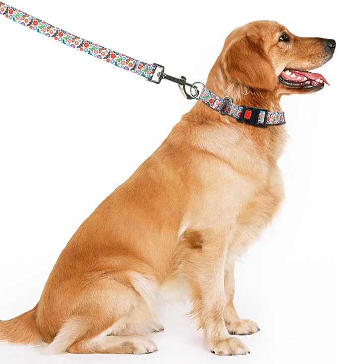 Slip Collar for Dogs, No Pull Escape Proof Limited Choker Pinch Pet Martingale Collars Quick Release Buckle with Lock for Small Medium Large Breed Dogs, Butterfly Flower L