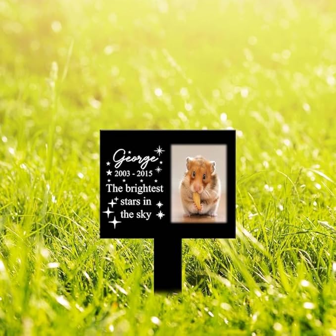 Personalized Hamster Memorial Stake Custom Hamster Photo The Brightest Stars in The Sky Metal 8x8 inch Pet Grave Marker Hamster Loss Gift Sympathy Gift for Hamster Lover (Style 11)