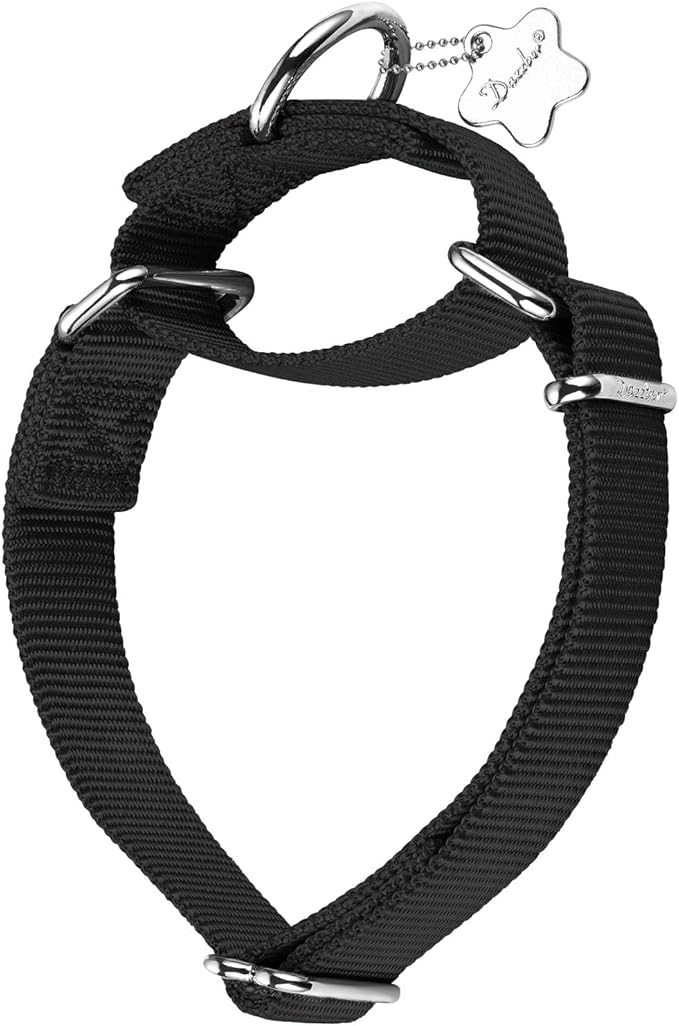 Martingale Dog Collar, No-Buckle Escape-Proof Design, Heavy-Duty Nylon and Welded D-Ring, Adjustable Training Collar for Medium Large Dogs (Classic Black, L)