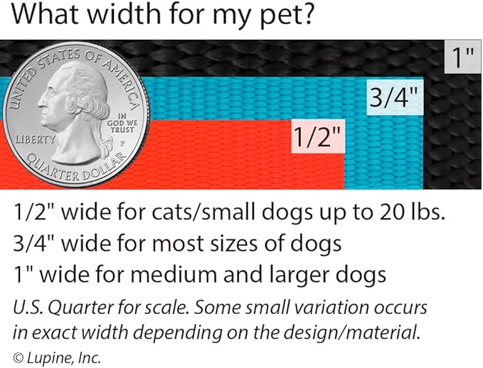 LupinePet Basics 1" Blue 15-22" Martingale Collar for Medium and Larger Dogs