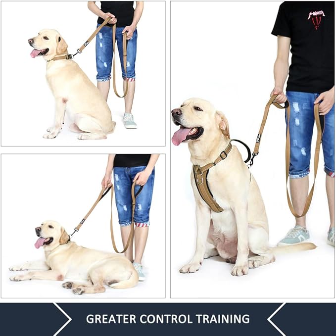 Plutus Pet Double Handle Dog Leash 5ft, Heavy Duty, Reflective Dual Handle Dog Leash for Safety Training, for Medium Large Dogs,2 Handle Leads(Brown)