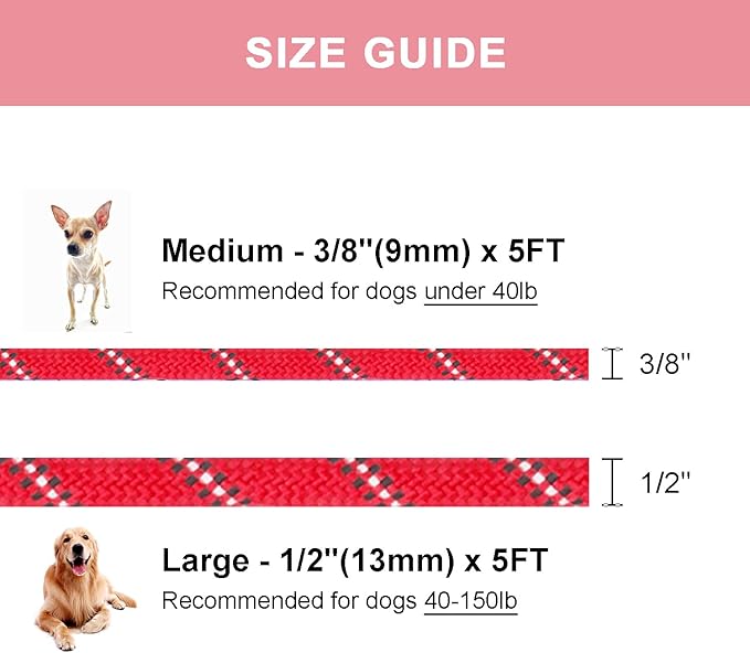 5 FT Slip Lead Dog Leash, Heavy Duty Rope Leash for Small Medium Large Dogs, No Pull Training Lead with Reflective Thread, Strong Comfortable Loop Leash (Red Stripe, Medium(3/8"))