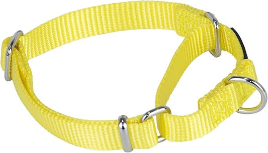 Hyhug Martingale Collar for Dogs Small Yellow |Escape - Proof Heavy Duty Nylon Durable No Buckle, Ideal for Training & Daily Walks