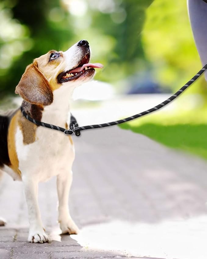 TagME Slip Leads for Dogs that Pull, 6 FT No-Pull Training Leash with Lock, Escape-Proof Design, Reflective & Padded Handle for Medium Dogs, Black