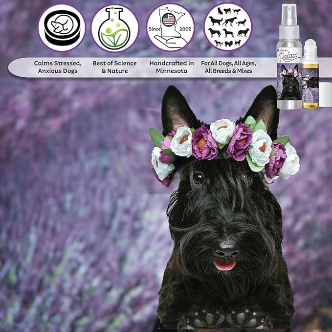 The Blissful Dog Scottish Terrier Relax Dog Aromatherapy, 0.45-Ounce Roll-On