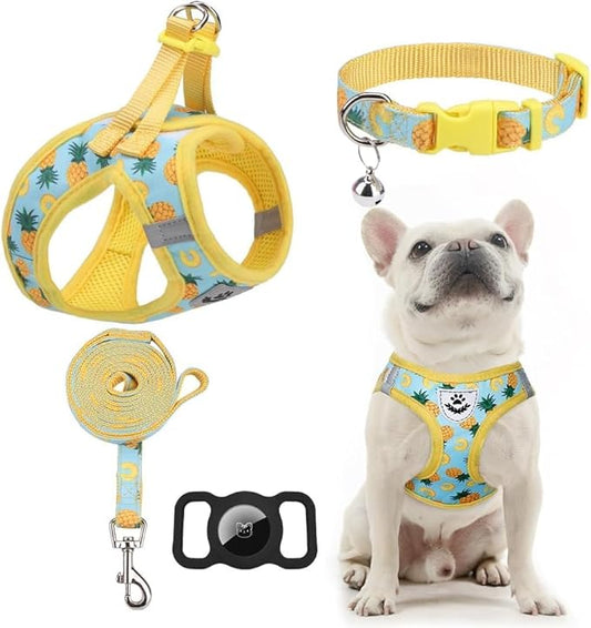 EXPAWLORER Dog Harness and Leash Set - Cute Puppy Harness Leash Dog Collar with AirTag Holder Silicone Case, Soft Padded Step in Pet Vest Reflective for Outdoor Walking, Pineapple L