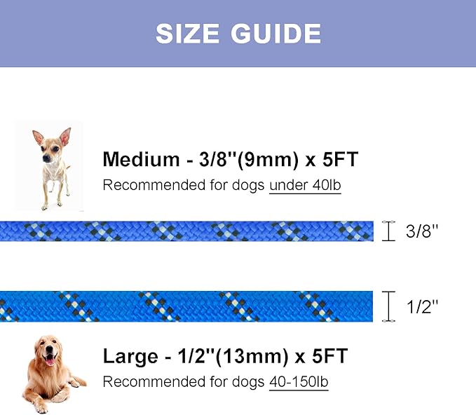 5 FT Slip Lead Dog Leash, Heavy Duty Rope Leash for Small Medium Large Dogs, No Pull Training Lead with Reflective Thread, Strong Comfortable Loop Leash (Blue Stripe, Medium(3/8"))