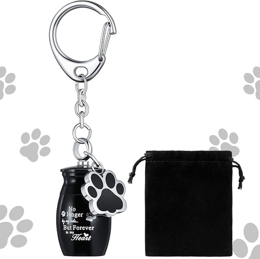Tudomro Cremation Pet Dog Urns Keychain for Ashes with Storage Bag Stainless Steel Small Cat Paw Memorial Keepsake Jewelry