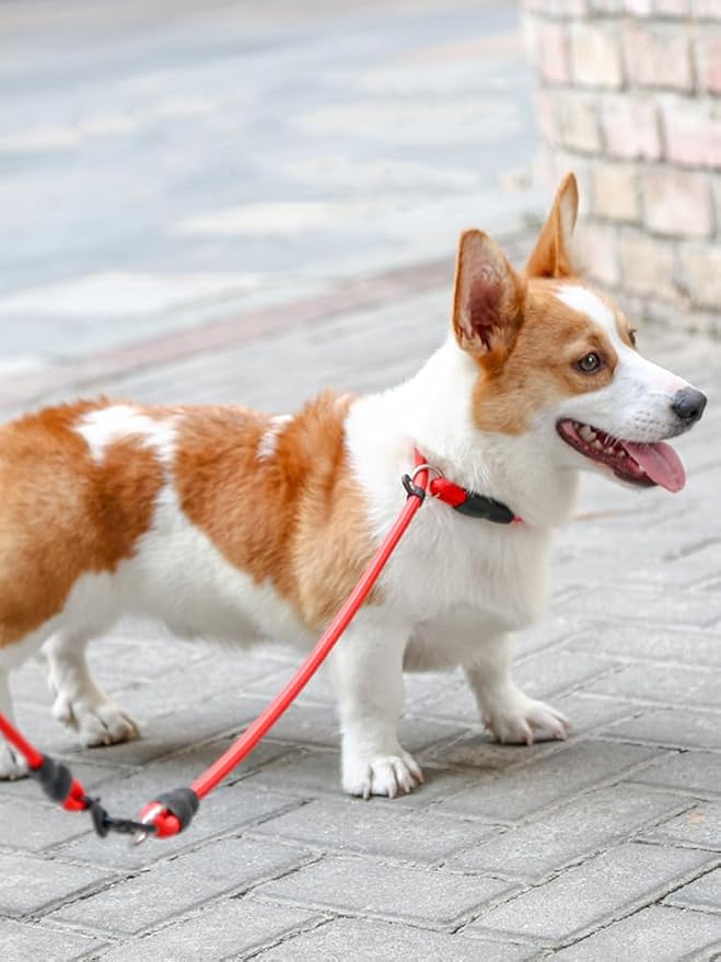 Slip Collar, Dog Choker Collar, Nylon Dog Training Collar with Slidable Stopper No Pull Dog Collars Martingale Collars for Small Medium Large Dogs, Orange, M