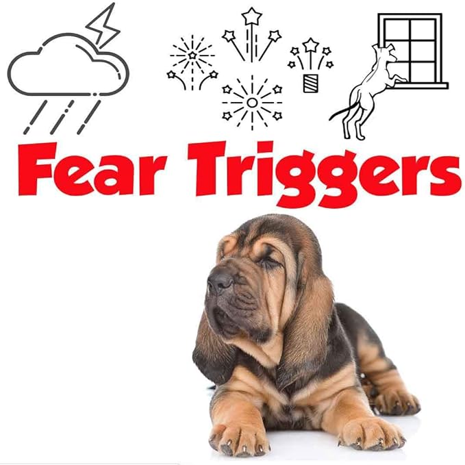 The Blissful Dog Bloodhound Relax Dog Aromatherapy Spray for Your Dog's Anxiety