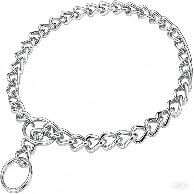 Chain Choker Collar for Dogs, Metal Slip Link Training Heavy Duty Dog Choke Collar Martingale Puppy Collars for Small Medium Large Big XL Breed Dogs (Silver, XL)