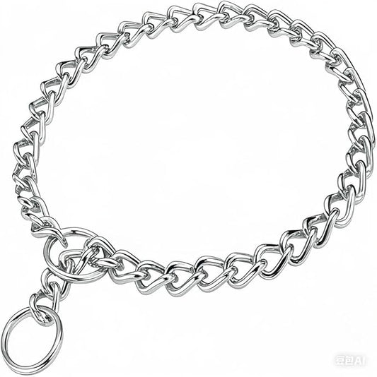 Chain Choker Collar for Dogs, Metal Slip Link Training Heavy Duty Dog Choke Collar Martingale Puppy Collars for Small Medium Large Big XL Breed Dogs (Silver, XL)
