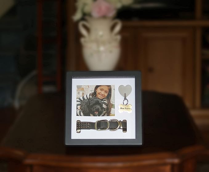 Daily Power-tivity Pet Memorial Picture Frame Shadow Box - Dog Gift Keepsake wCollar Mount and Heart Hook Forever In Memory, Remembrance Show Sympathy For Your BONUS TWO Mattes to choose from, Black