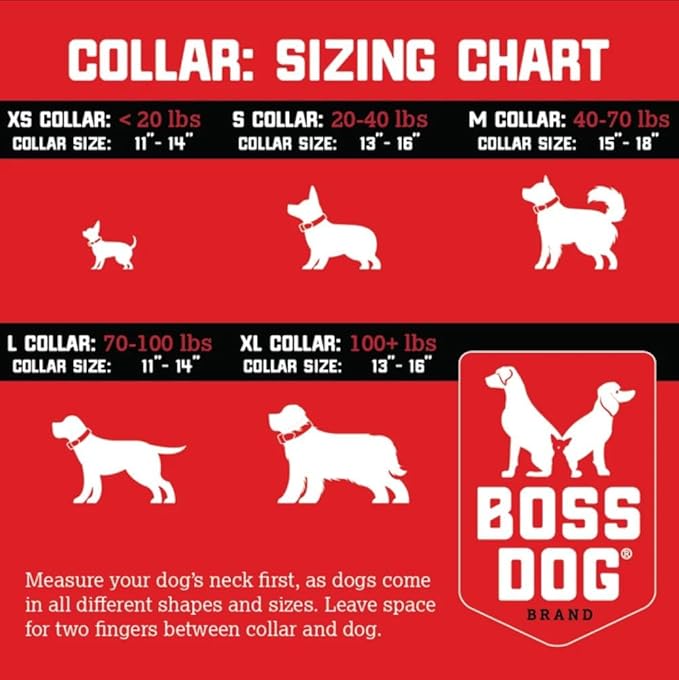 Boss Dog Tactical Collar, Blue, X-Small