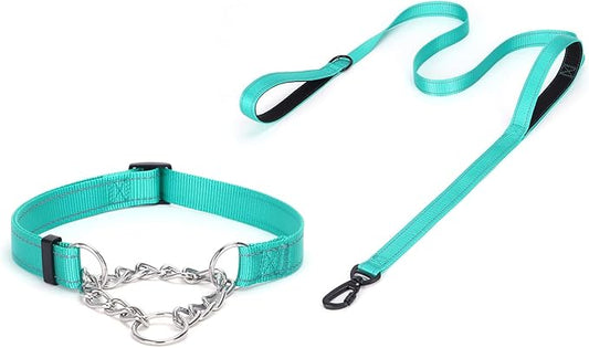 Martingale Dog Collar with Stainless Steel Chain and Leash Set, Martingale Collar with Reflective, 5FT Double Handle Dog Leash Padded, Adjustable for Medium Large Dogs (L, Teal)