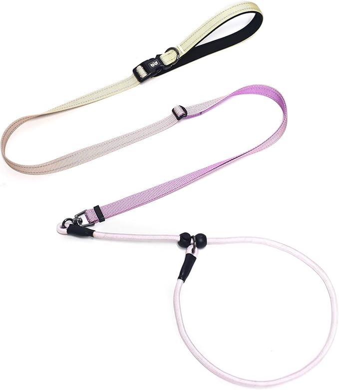 QQPETS Adjustable Slip Lead Dog Leash, Hands Free Waist Leash for Dog Walking, Reflective Training Lead with 360° Swivel Anti-Tangle, 4-7 ft Length for All Breeds