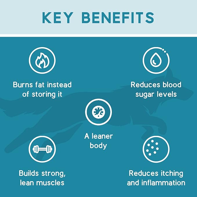 Ketona Salmon Recipe Adult Dry Dog Food, Natural, Low Carb (Only 5%), High Protein (46%), Grain-Free, The Nutrition of a Raw Diet with The Cost and Convenience of a Kibble; 4.2 lb