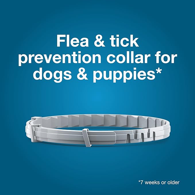 Bundle of Seresto Small Dog Collar for Dogs Under 18 lbs. + Pet Protect Hip & Joint Supplement for Dogs 60 Chews