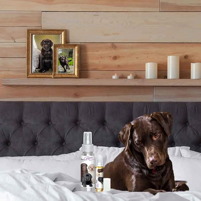 The Blissful Dog Labrador Retriever Relax Roll-ON Aromatherapy for Dogs