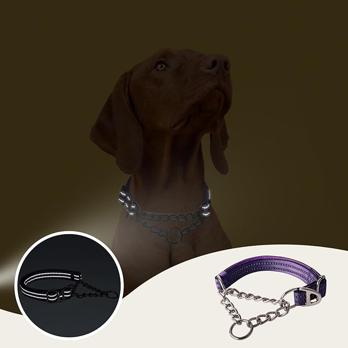Reflective Martingale Collar for Dogs with Soft Padded Strap with Durable Chain- Adjustable No-Pull Training Collar,Great for Training, Walking, Hunting (Silver XL)