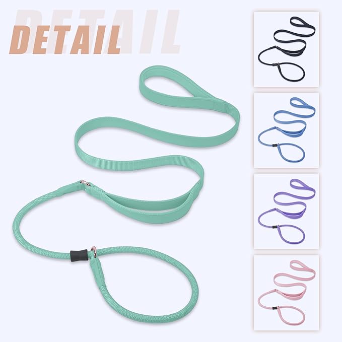 Slip Lead Dog Leash, Dog Training Leash with Double Handle, Soft Leather Slip Leash and Collar, Heavy Duty Nylon Dog Lead, No Pull Walking for Medium Large Small Dogs 6ft Mint Green
