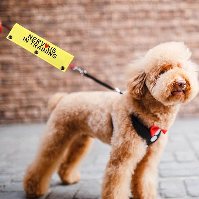 JXGZSO in Training Nervous Anxious Dog Leash Sleeve Dot Not Pet Working Dog Leash Sleeve Service Dog Leash Wrap (Nervous in Train DLS)