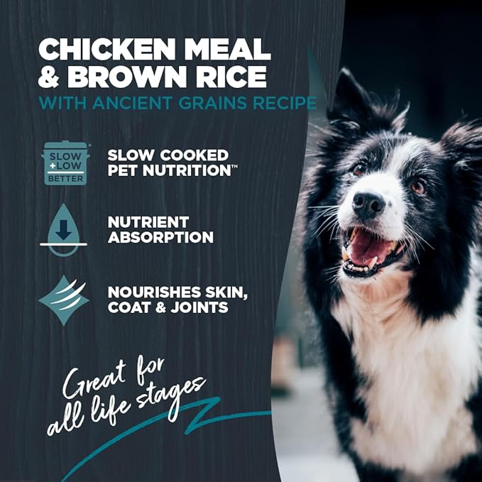 Blackwood Complete & Balanced Diet Dry Dog Food, Chicken Meal & Brown Rice with Ancient Grains, 24 Pound Bag, Slow Cooked with Vitamins & Minerals