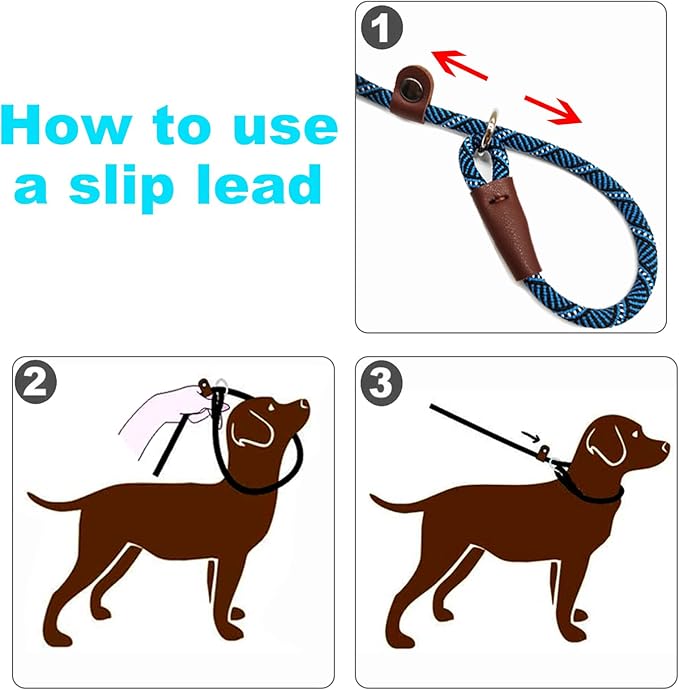 Slip Lead Dog Leash, 1/4" x 5ft No Pull Slip-on Training Leash for Small and Medium Dogs (Blue, 1/4" x 5Ft)