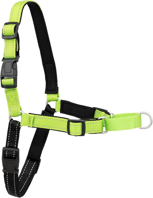 PetSafe Deluxe Easy Walk Harness - Trainer-Trusted Dog Chest Harness with Breathable Martingale Loop Design - Helps Stop Pulling with No Choking & Gagging - Medium/Large - Apple