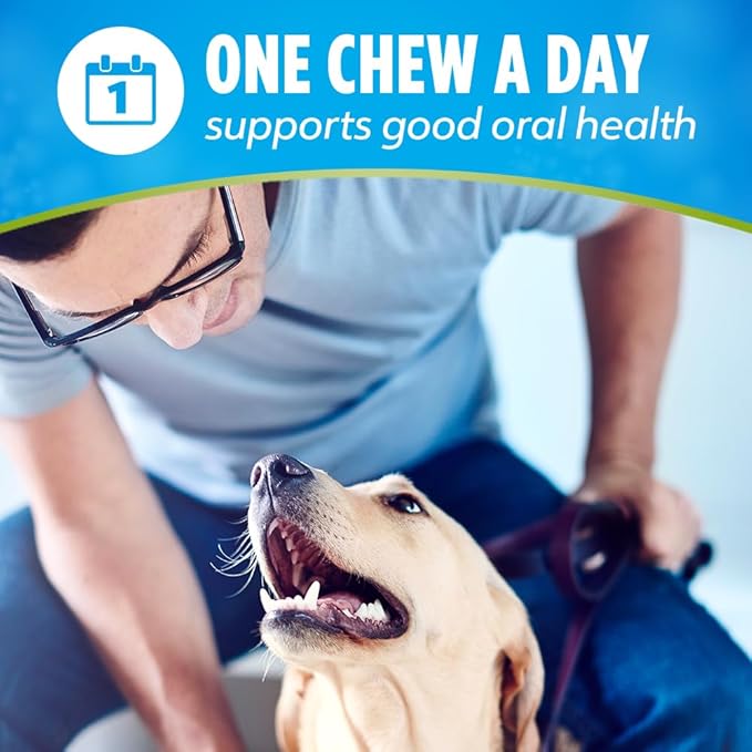 DentaLife ActivFresh Dog Chews for Mini and Small Dogs 5-20 lbs., Dental Chews to Freshen Breath, Chicken Flavor, 16.9 oz., 56 Chews - 56 ct. Pouch