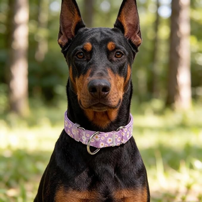 Purple Martingale Collars for Dogs, Daisy Print No-Slip Escape Proof Choke No Pull Soft Nylon Training Dog Collars for Small Medium Large Breed Pet Dogs, M