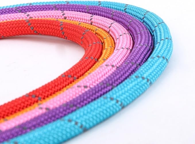 Coolrunner Durable Dog Slip Rope, 5 FT Training Leash, Strong Adjustable Pet Slipknot Nylon Leash for Small Medium Dogs (10-80 lb) (Red 2)
