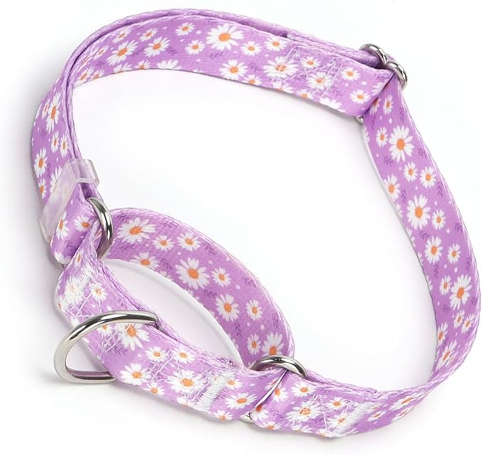 Purple Martingale Collars for Dogs, Daisy Print No-Slip Escape Proof Choke No Pull Soft Nylon Training Dog Collars for Small Medium Large Breed Pet Dogs, M