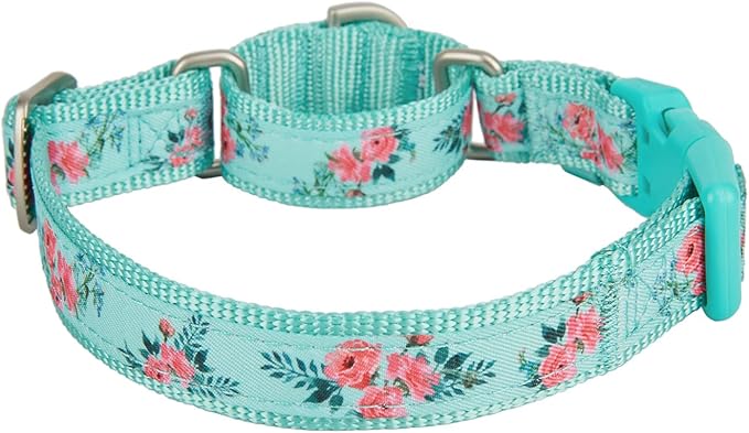 Martingale Dog Collar,Floral Pattern,with Safety Quick Release Buckle,Escape-Proof Anti-Pull for Medium Dogs(Green Floral,M)