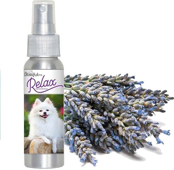 The Blissful Dog American Eskimo Relax Dog Aromatherapy Spray for Your Dog's Anxiety