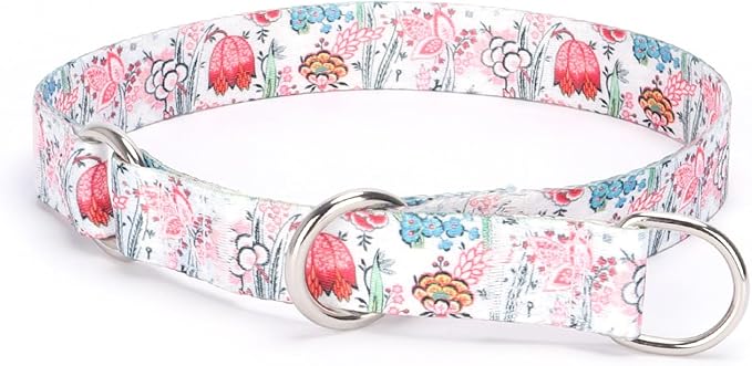 Training Dog Collar - No Pull Martingale, Slip With Slidable Stop Ring for Small, Medium, Large Dogs (M, White1)