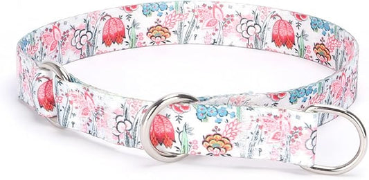 Training Dog Collar - No Pull Martingale, Slip With Slidable Stop Ring for Small, Medium, Large Dogs (M, White1)