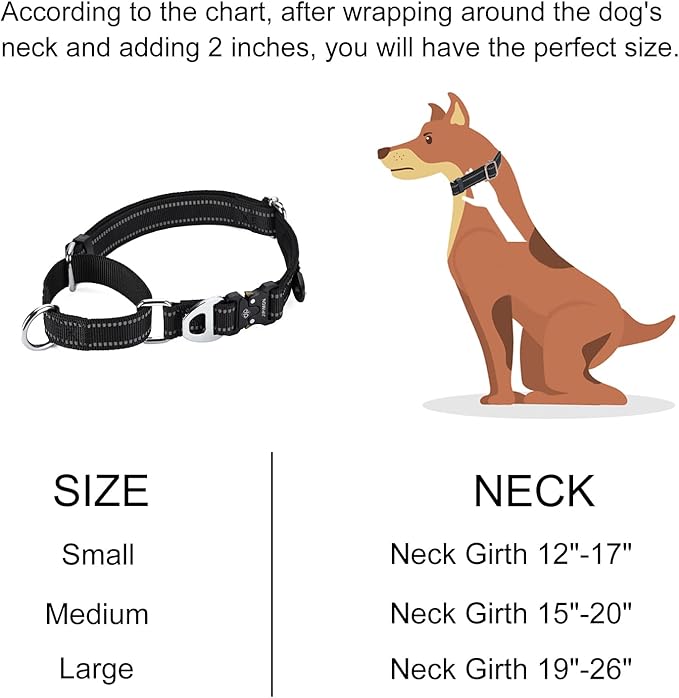 Martingale Dog Collar Reflective Nylon Soft Cushion with Alloy Buckle Dog Collar Martingale Small Medium and Large Dogs (Large, Orange)